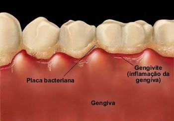cury clínica odontológica